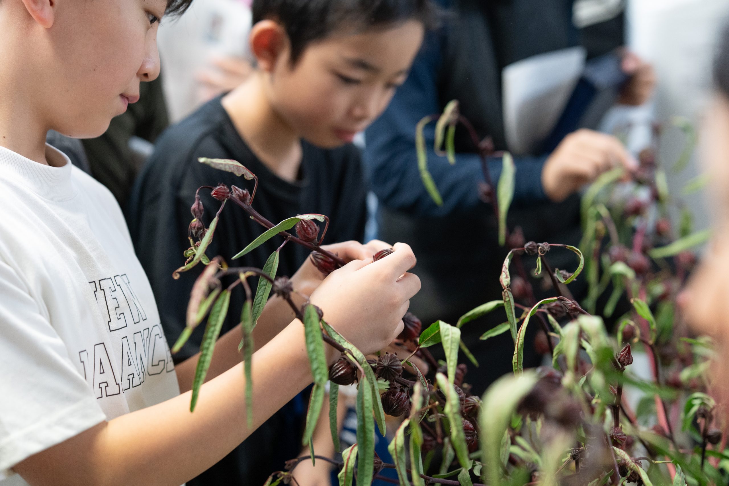 小学生向け食育授業 2025のサムネイル
