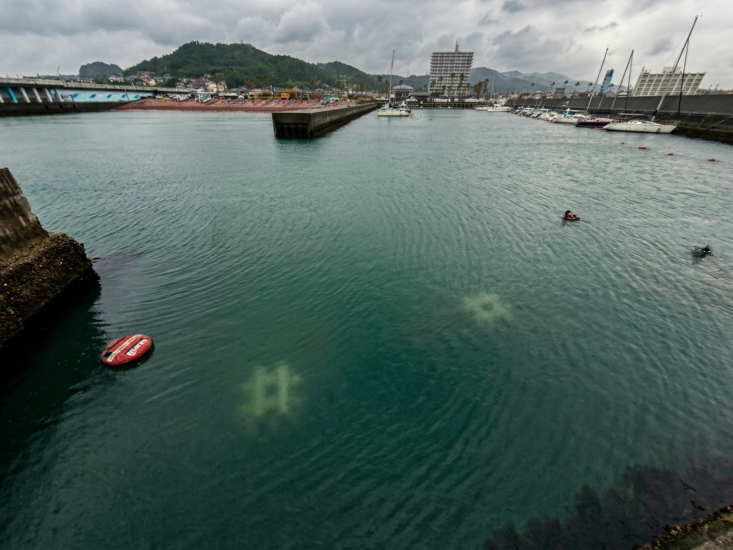 藻場再生 実証実験のサムネイル