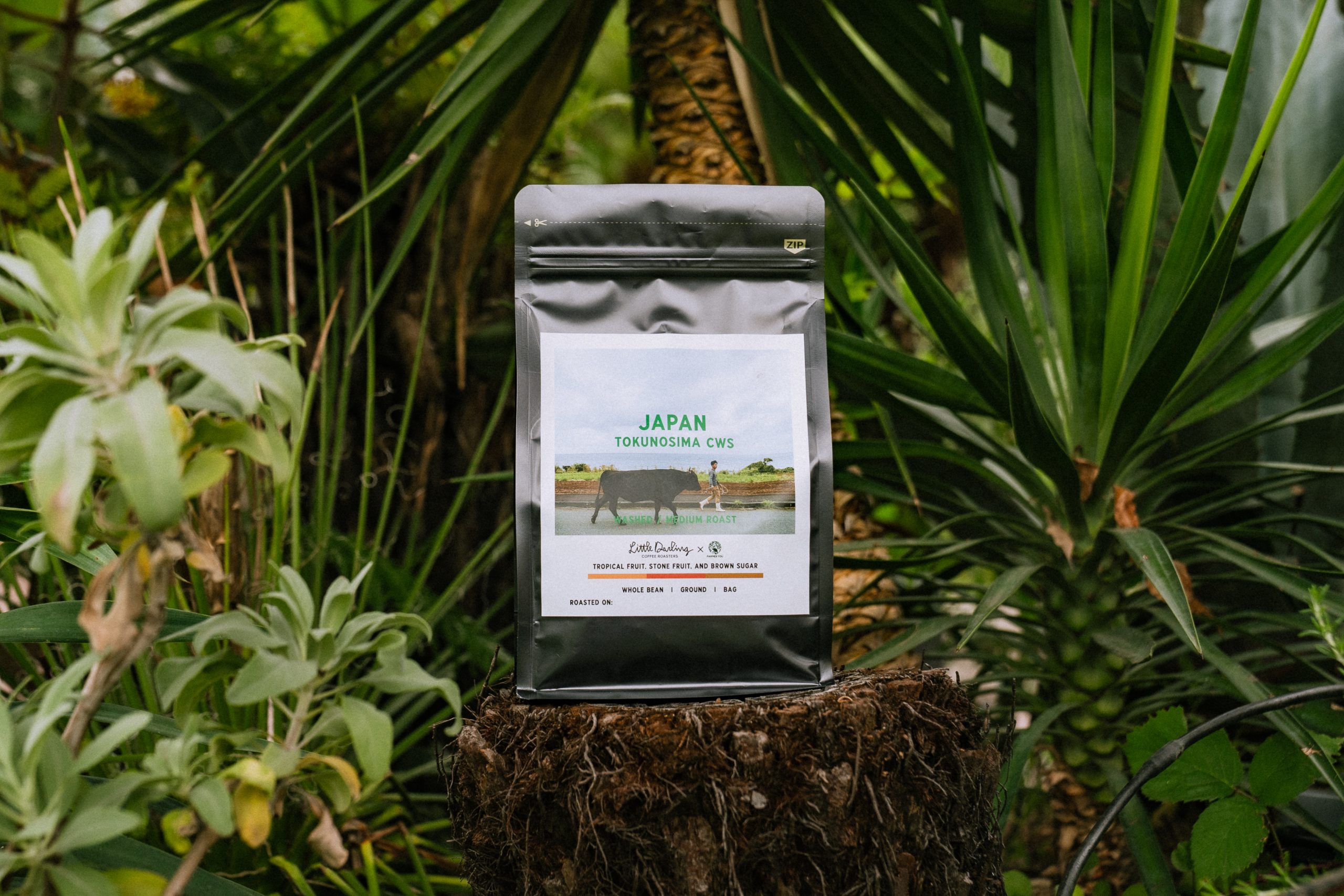 ECHO COFFEE TOKUNOSHIMA　　　　　　　　　　シリーズ初の100％国産コーヒーのサムネイル